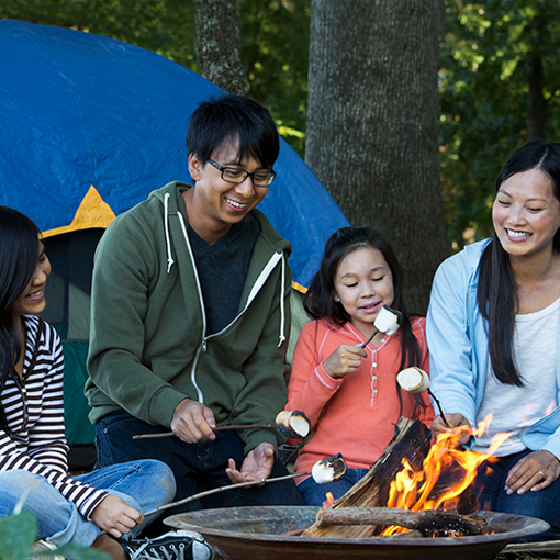 Roastingmarshmallows