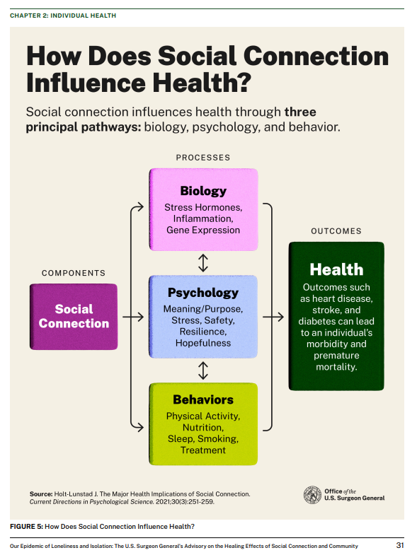 How Does Social Connection Influence Health?