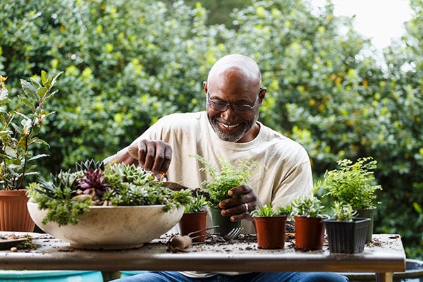 A senior man enjoys potting small plants at a table outside, surrounded by trees and shrubs
